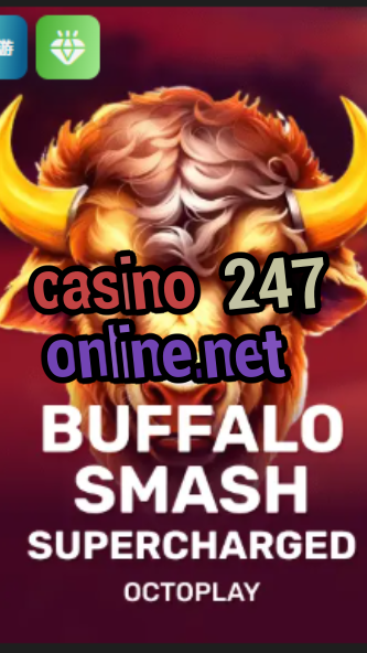 casino 247 online.net-w4cy2mdjlx2bf.com